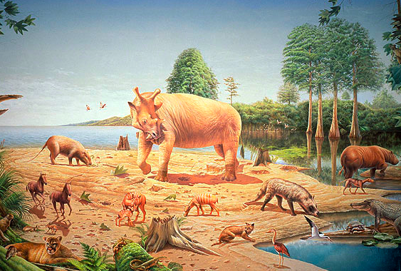 Eocene Illustration